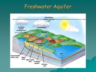 Freshwater Aquifer
 