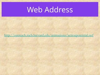 Web Address
http://outreach.mcb.harvard.edu/animations/actionpotential.swf
 
