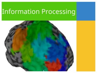 Information Processing
 