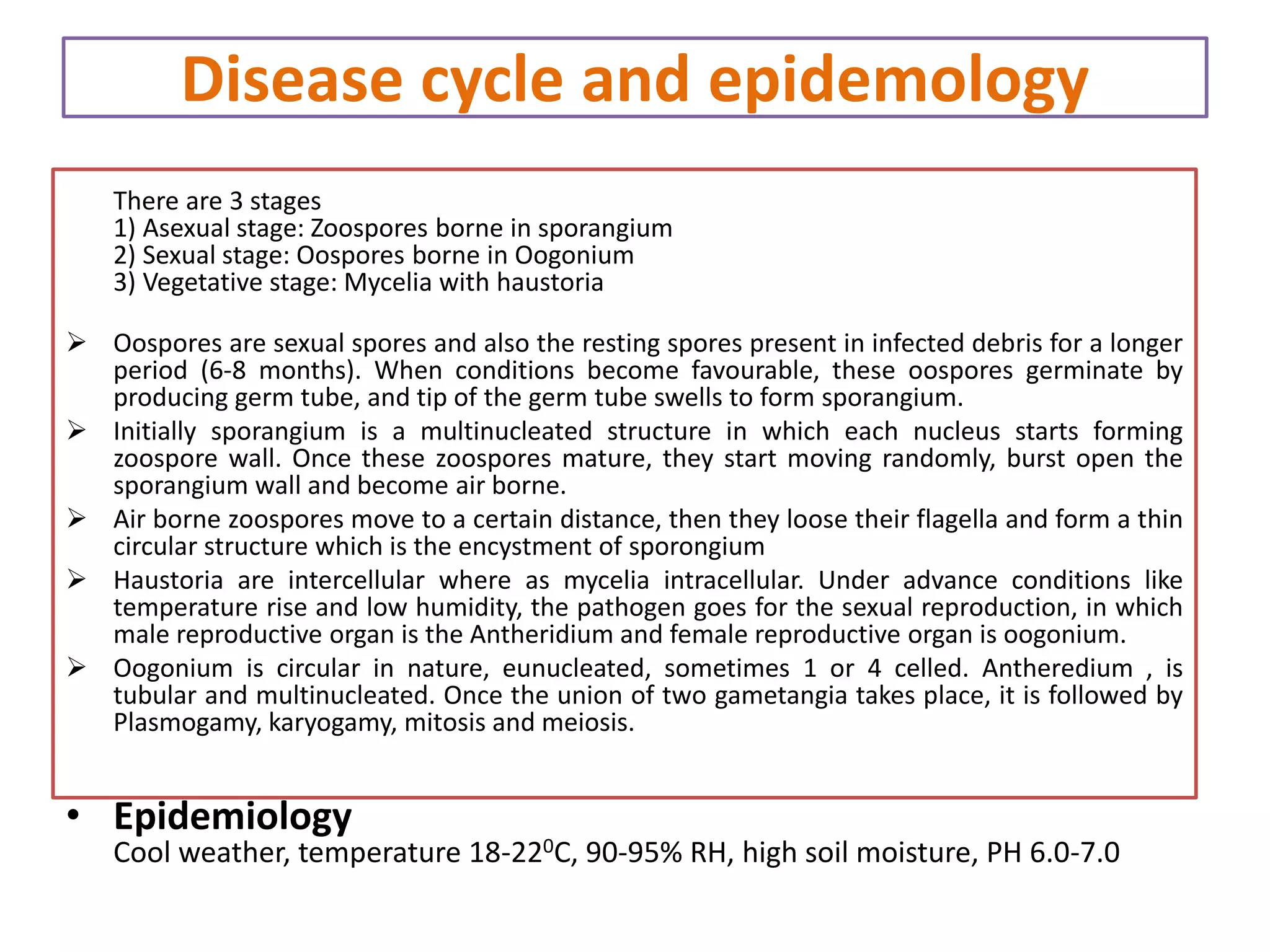 Disease cycle and epidemology
There are 3 stages
1) Asexual stage: Zoospores borne in sporangium
2) Sexual stage: Oospores borne in Oogonium
3) Vegetative stage: Mycelia with haustoria
 Oospores are sexual spores and also the resting spores present in infected debris for a longer
period (6-8 months). When conditions become favourable, these oospores germinate by
producing germ tube, and tip of the germ tube swells to form sporangium.
 Initially sporangium is a multinucleated structure in which each nucleus starts forming
zoospore wall. Once these zoospores mature, they start moving randomly, burst open the
sporangium wall and become air borne.
 Air borne zoospores move to a certain distance, then they loose their flagella and form a thin
circular structure which is the encystment of sporongium
 Haustoria are intercellular where as mycelia intracellular. Under advance conditions like
temperature rise and low humidity, the pathogen goes for the sexual reproduction, in which
male reproductive organ is the Antheridium and female reproductive organ is oogonium.
 Oogonium is circular in nature, eunucleated, sometimes 1 or 4 celled. Antheredium , is
tubular and multinucleated. Once the union of two gametangia takes place, it is followed by
Plasmogamy, karyogamy, mitosis and meiosis.
• Epidemiology
Cool weather, temperature 18-220C, 90-95% RH, high soil moisture, PH 6.0-7.0
 