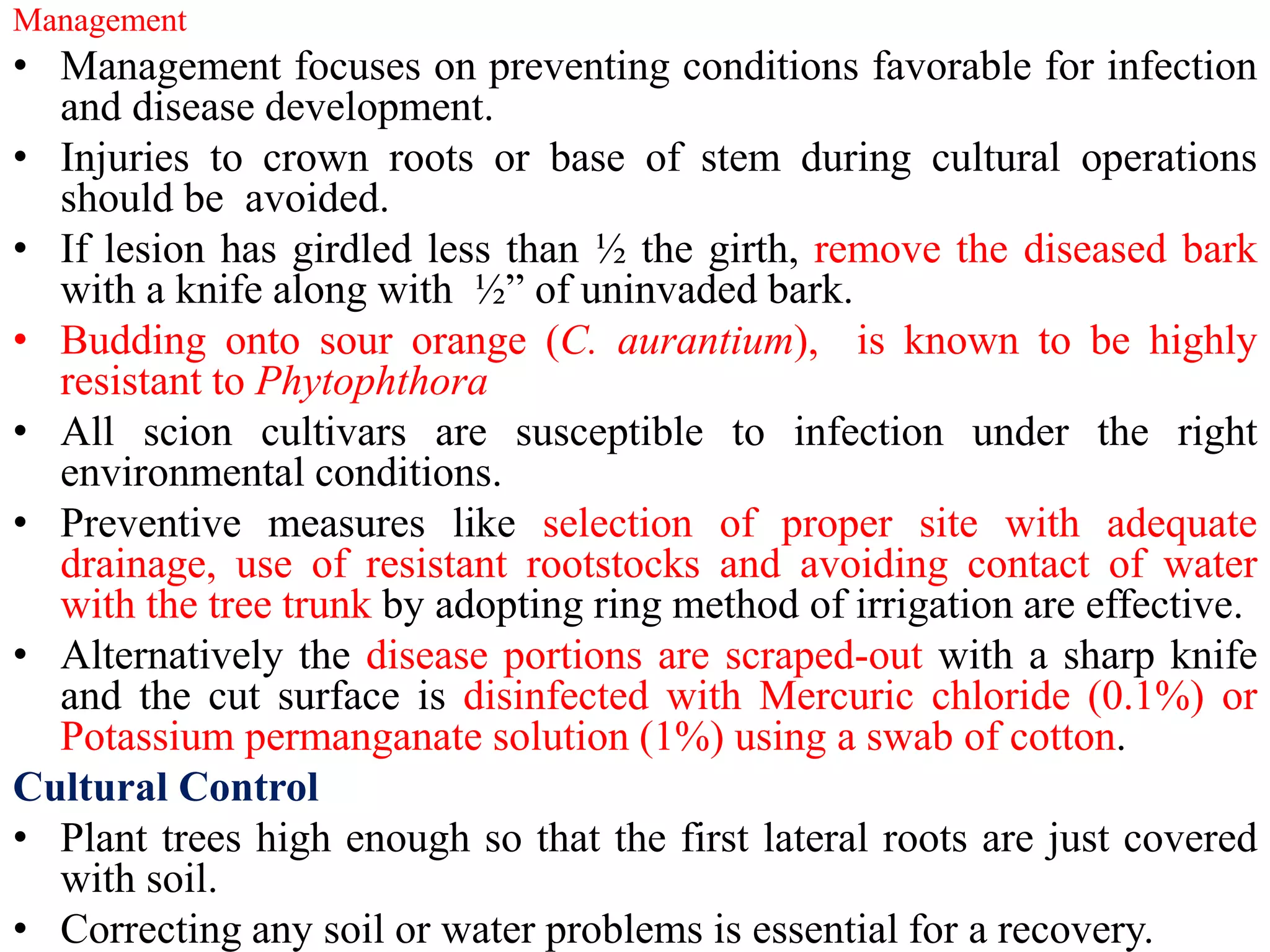 Management
• Management focuses on preventing conditions favorable for infection
and disease development.
• Injuries to crown roots or base of stem during cultural operations
should be avoided.
• If lesion has girdled less than ½ the girth, remove the diseased bark
with a knife along with ½” of uninvaded bark.
• Budding onto sour orange (C. aurantium), is known to be highly
resistant to Phytophthora
• All scion cultivars are susceptible to infection under the right
environmental conditions.
• Preventive measures like selection of proper site with adequate
drainage, use of resistant rootstocks and avoiding contact of water
with the tree trunk by adopting ring method of irrigation are effective.
• Alternatively the disease portions are scraped-out with a sharp knife
and the cut surface is disinfected with Mercuric chloride (0.1%) or
Potassium permanganate solution (1%) using a swab of cotton.
Cultural Control
• Plant trees high enough so that the first lateral roots are just covered
with soil.
• Correcting any soil or water problems is essential for a recovery.
 