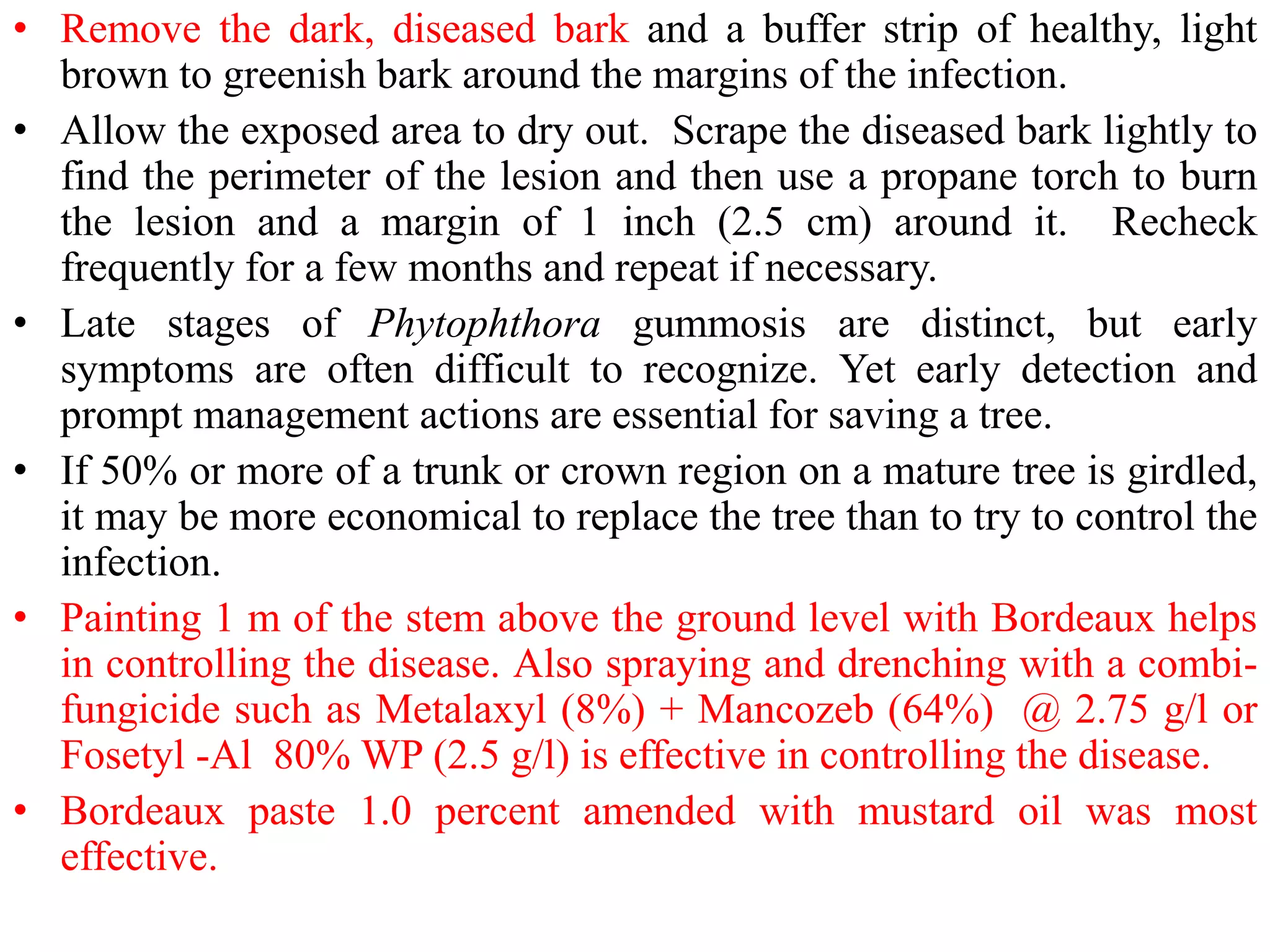 • Remove the dark, diseased bark and a buffer strip of healthy, light
brown to greenish bark around the margins of the infection.
• Allow the exposed area to dry out. Scrape the diseased bark lightly to
find the perimeter of the lesion and then use a propane torch to burn
the lesion and a margin of 1 inch (2.5 cm) around it. Recheck
frequently for a few months and repeat if necessary.
• Late stages of Phytophthora gummosis are distinct, but early
symptoms are often difficult to recognize. Yet early detection and
prompt management actions are essential for saving a tree.
• If 50% or more of a trunk or crown region on a mature tree is girdled,
it may be more economical to replace the tree than to try to control the
infection.
• Painting 1 m of the stem above the ground level with Bordeaux helps
in controlling the disease. Also spraying and drenching with a combi-
fungicide such as Metalaxyl (8%) + Mancozeb (64%) @ 2.75 g/l or
Fosetyl -Al 80% WP (2.5 g/l) is effective in controlling the disease.
• Bordeaux paste 1.0 percent amended with mustard oil was most
effective.
 