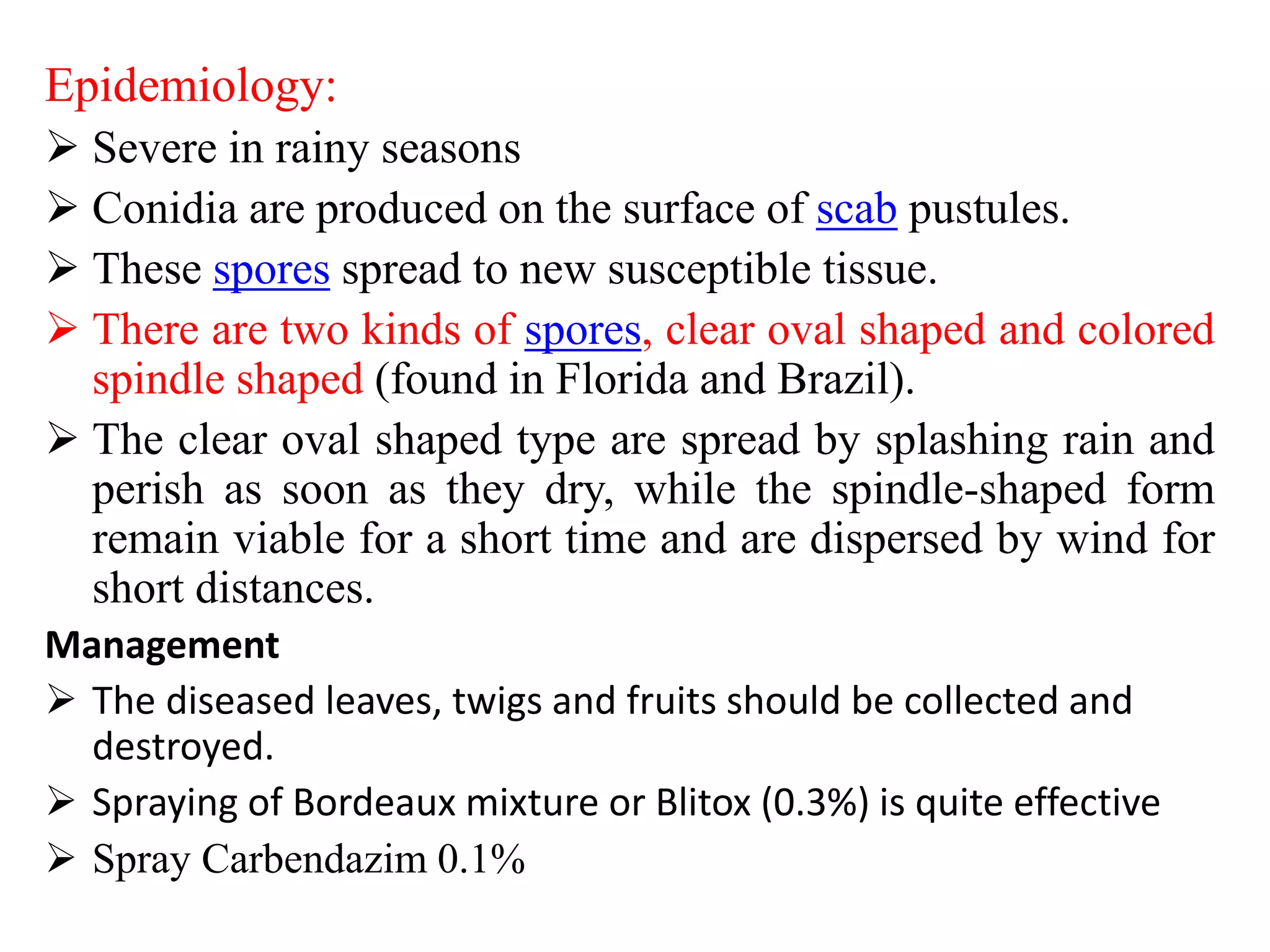 Epidemiology:
 Severe in rainy seasons
 Conidia are produced on the surface of scab pustules.
 These spores spread to new susceptible tissue.
 There are two kinds of spores, clear oval shaped and colored
spindle shaped (found in Florida and Brazil).
 The clear oval shaped type are spread by splashing rain and
perish as soon as they dry, while the spindle-shaped form
remain viable for a short time and are dispersed by wind for
short distances.
Management
 The diseased leaves, twigs and fruits should be collected and
destroyed.
 Spraying of Bordeaux mixture or Blitox (0.3%) is quite effective
 Spray Carbendazim 0.1%
 