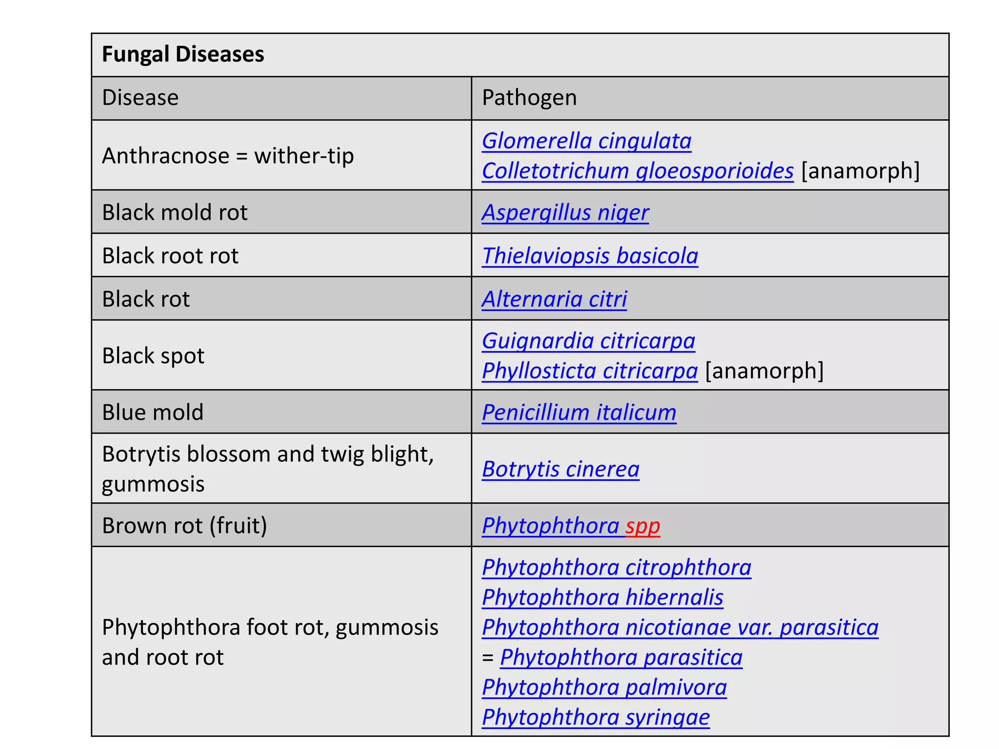 Fungal Diseases
Disease Pathogen
Anthracnose = wither-tip
Glomerella cingulata
Colletotrichum gloeosporioides [anamorph]
Black mold rot Aspergillus niger
Black root rot Thielaviopsis basicola
Black rot Alternaria citri
Black spot
Guignardia citricarpa
Phyllosticta citricarpa [anamorph]
Blue mold Penicillium italicum
Botrytis blossom and twig blight,
gummosis
Botrytis cinerea
Brown rot (fruit) Phytophthora spp
Phytophthora foot rot, gummosis
and root rot
Phytophthora citrophthora
Phytophthora hibernalis
Phytophthora nicotianae var. parasitica
= Phytophthora parasitica
Phytophthora palmivora
Phytophthora syringae
 
