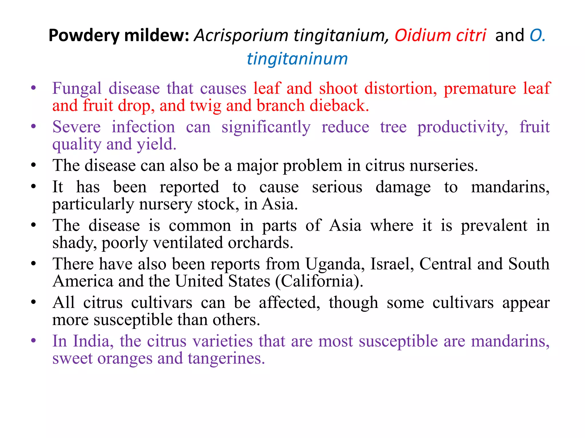 Powdery mildew: Acrisporium tingitanium, Oidium citri and O.
tingitaninum
• Fungal disease that causes leaf and shoot distortion, premature leaf
and fruit drop, and twig and branch dieback.
• Severe infection can significantly reduce tree productivity, fruit
quality and yield.
• The disease can also be a major problem in citrus nurseries.
• It has been reported to cause serious damage to mandarins,
particularly nursery stock, in Asia.
• The disease is common in parts of Asia where it is prevalent in
shady, poorly ventilated orchards.
• There have also been reports from Uganda, Israel, Central and South
America and the United States (California).
• All citrus cultivars can be affected, though some cultivars appear
more susceptible than others.
• In India, the citrus varieties that are most susceptible are mandarins,
sweet oranges and tangerines.
 