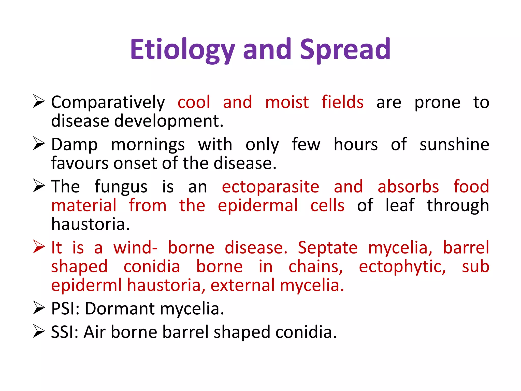 Etiology and Spread
 Comparatively cool and moist fields are prone to
disease development.
 Damp mornings with only few hours of sunshine
favours onset of the disease.
 The fungus is an ectoparasite and absorbs food
material from the epidermal cells of leaf through
haustoria.
 It is a wind- borne disease. Septate mycelia, barrel
shaped conidia borne in chains, ectophytic, sub
epiderml haustoria, external mycelia.
 PSI: Dormant mycelia.
 SSI: Air borne barrel shaped conidia.
 