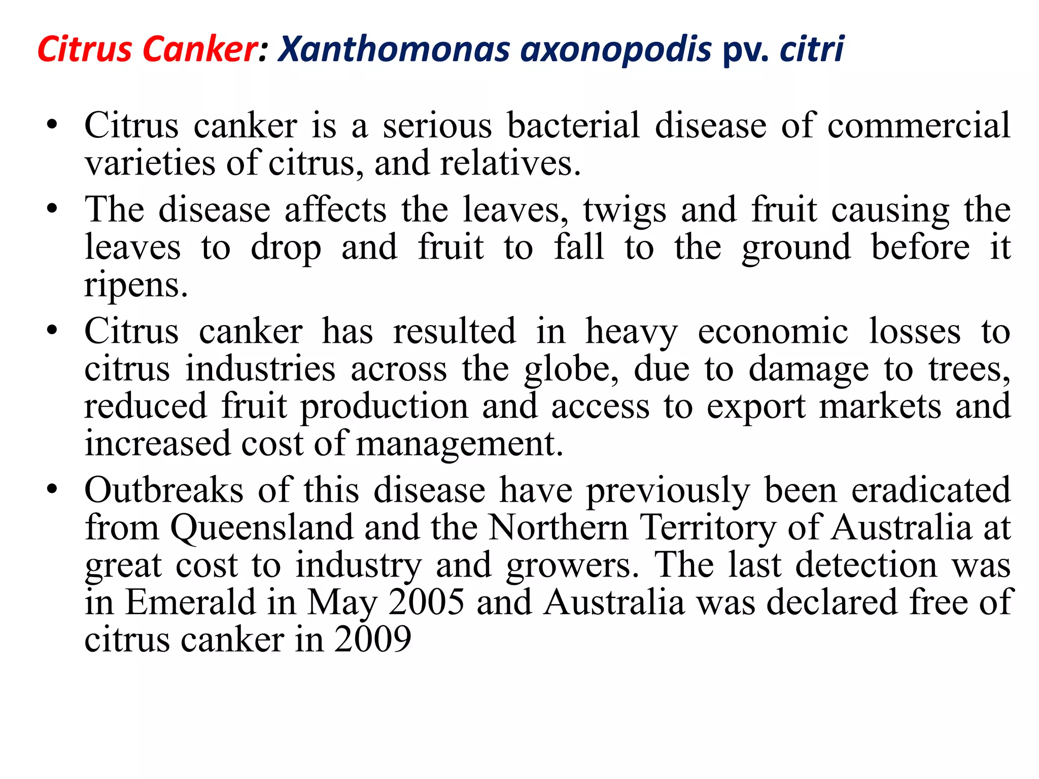 Citrus Canker: Xanthomonas axonopodis pv. citri
• Citrus canker is a serious bacterial disease of commercial
varieties of citrus, and relatives.
• The disease affects the leaves, twigs and fruit causing the
leaves to drop and fruit to fall to the ground before it
ripens.
• Citrus canker has resulted in heavy economic losses to
citrus industries across the globe, due to damage to trees,
reduced fruit production and access to export markets and
increased cost of management.
• Outbreaks of this disease have previously been eradicated
from Queensland and the Northern Territory of Australia at
great cost to industry and growers. The last detection was
in Emerald in May 2005 and Australia was declared free of
citrus canker in 2009
 