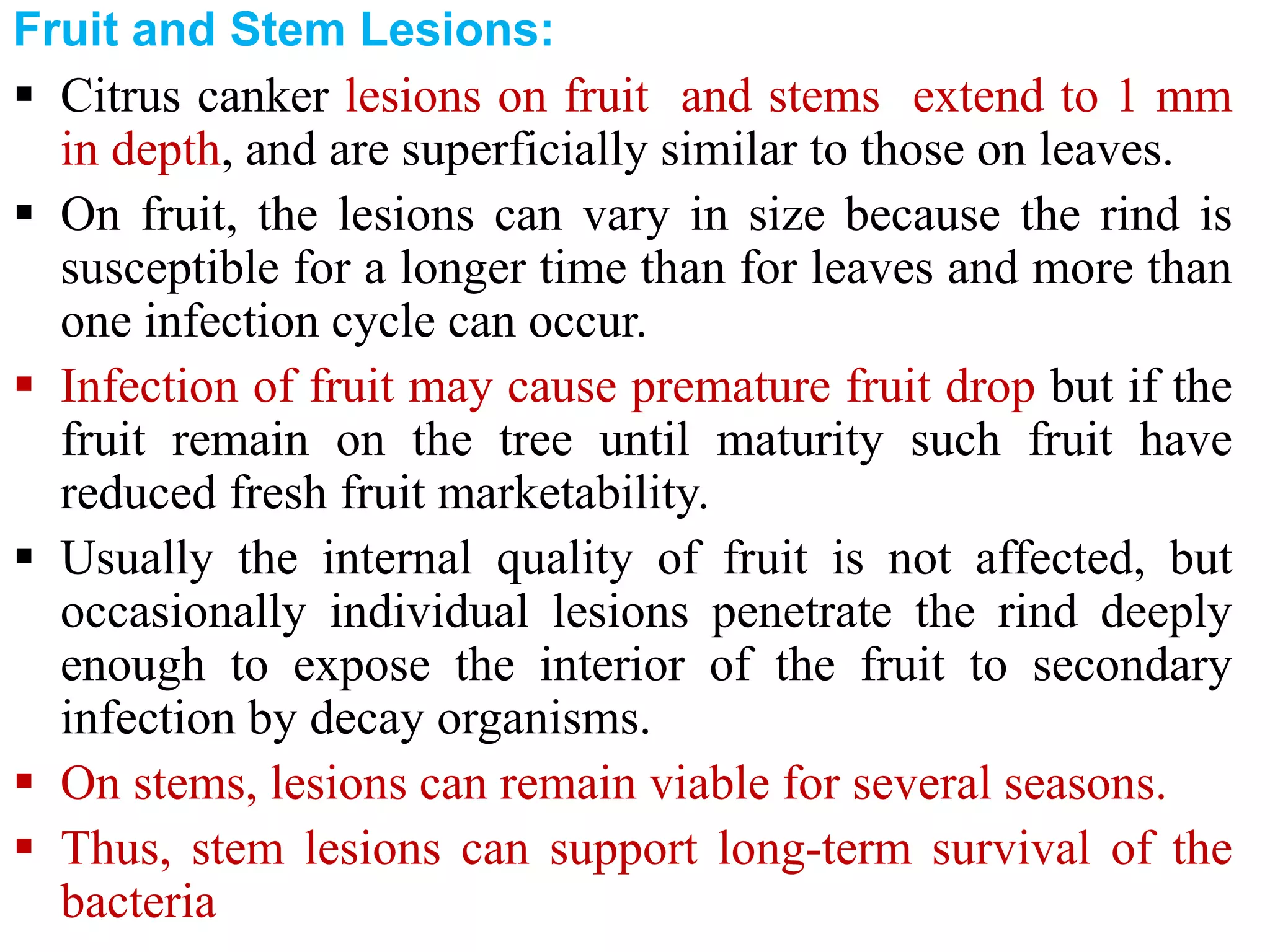 Fruit and Stem Lesions:
 Citrus canker lesions on fruit and stems extend to 1 mm
in depth, and are superficially similar to those on leaves.
 On fruit, the lesions can vary in size because the rind is
susceptible for a longer time than for leaves and more than
one infection cycle can occur.
 Infection of fruit may cause premature fruit drop but if the
fruit remain on the tree until maturity such fruit have
reduced fresh fruit marketability.
 Usually the internal quality of fruit is not affected, but
occasionally individual lesions penetrate the rind deeply
enough to expose the interior of the fruit to secondary
infection by decay organisms.
 On stems, lesions can remain viable for several seasons.
 Thus, stem lesions can support long-term survival of the
bacteria
 