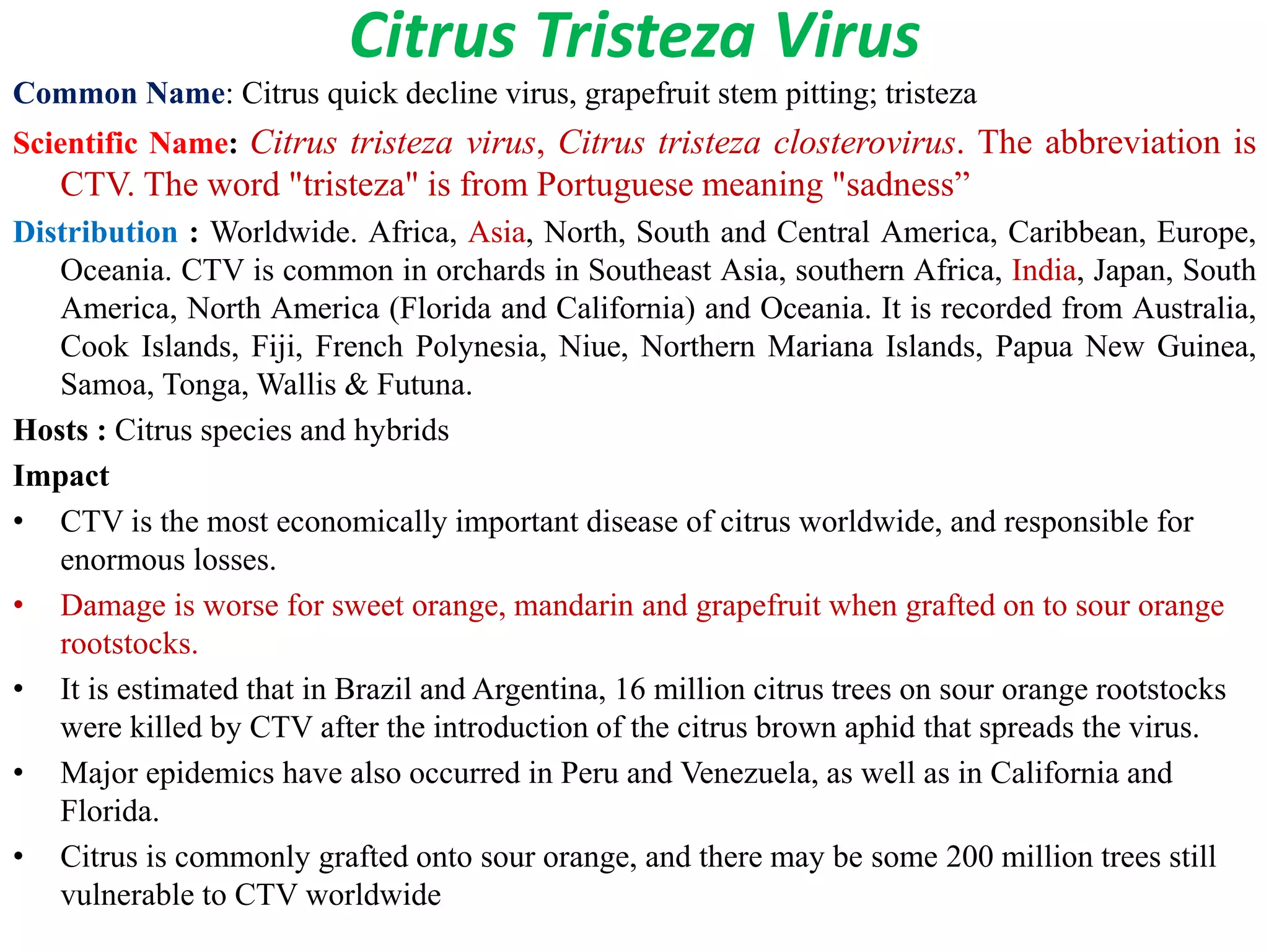 Citrus Tristeza Virus
Common Name: Citrus quick decline virus, grapefruit stem pitting; tristeza
Scientific Name: Citrus tristeza virus, Citrus tristeza closterovirus. The abbreviation is
CTV. The word "tristeza" is from Portuguese meaning "sadness”
Distribution : Worldwide. Africa, Asia, North, South and Central America, Caribbean, Europe,
Oceania. CTV is common in orchards in Southeast Asia, southern Africa, India, Japan, South
America, North America (Florida and California) and Oceania. It is recorded from Australia,
Cook Islands, Fiji, French Polynesia, Niue, Northern Mariana Islands, Papua New Guinea,
Samoa, Tonga, Wallis & Futuna.
Hosts : Citrus species and hybrids
Impact
• CTV is the most economically important disease of citrus worldwide, and responsible for
enormous losses.
• Damage is worse for sweet orange, mandarin and grapefruit when grafted on to sour orange
rootstocks.
• It is estimated that in Brazil and Argentina, 16 million citrus trees on sour orange rootstocks
were killed by CTV after the introduction of the citrus brown aphid that spreads the virus.
• Major epidemics have also occurred in Peru and Venezuela, as well as in California and
Florida.
• Citrus is commonly grafted onto sour orange, and there may be some 200 million trees still
vulnerable to CTV worldwide
 