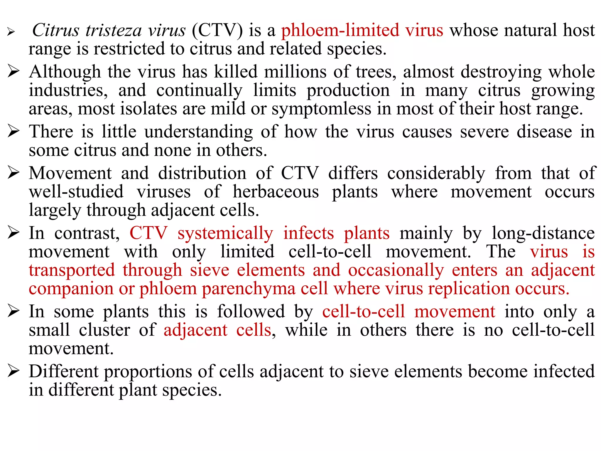  Citrus tristeza virus (CTV) is a phloem-limited virus whose natural host
range is restricted to citrus and related species.
 Although the virus has killed millions of trees, almost destroying whole
industries, and continually limits production in many citrus growing
areas, most isolates are mild or symptomless in most of their host range.
 There is little understanding of how the virus causes severe disease in
some citrus and none in others.
 Movement and distribution of CTV differs considerably from that of
well-studied viruses of herbaceous plants where movement occurs
largely through adjacent cells.
 In contrast, CTV systemically infects plants mainly by long-distance
movement with only limited cell-to-cell movement. The virus is
transported through sieve elements and occasionally enters an adjacent
companion or phloem parenchyma cell where virus replication occurs.
 In some plants this is followed by cell-to-cell movement into only a
small cluster of adjacent cells, while in others there is no cell-to-cell
movement.
 Different proportions of cells adjacent to sieve elements become infected
in different plant species.
 