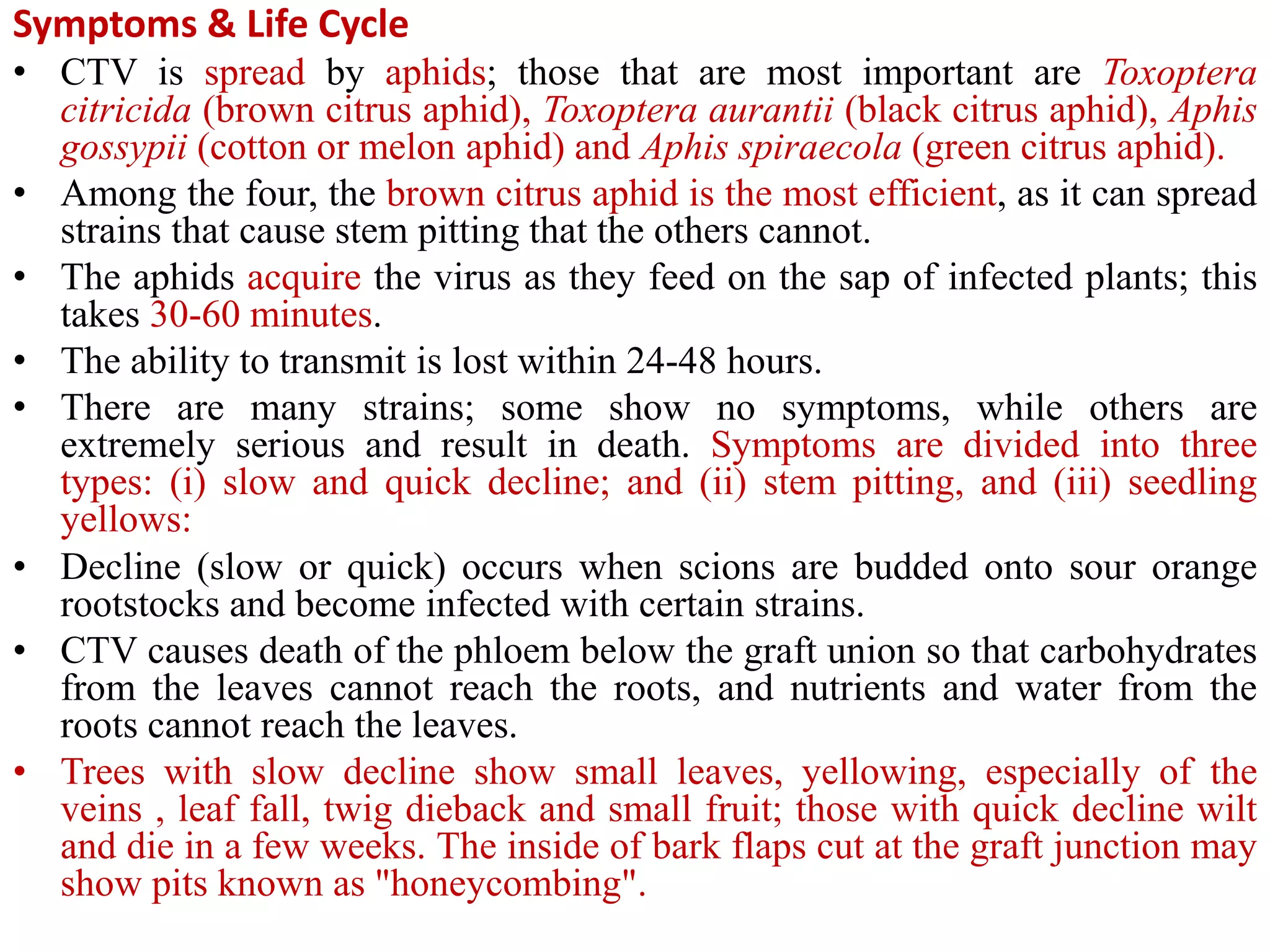 Symptoms & Life Cycle
• CTV is spread by aphids; those that are most important are Toxoptera
citricida (brown citrus aphid), Toxoptera aurantii (black citrus aphid), Aphis
gossypii (cotton or melon aphid) and Aphis spiraecola (green citrus aphid).
• Among the four, the brown citrus aphid is the most efficient, as it can spread
strains that cause stem pitting that the others cannot.
• The aphids acquire the virus as they feed on the sap of infected plants; this
takes 30-60 minutes.
• The ability to transmit is lost within 24-48 hours.
• There are many strains; some show no symptoms, while others are
extremely serious and result in death. Symptoms are divided into three
types: (i) slow and quick decline; and (ii) stem pitting, and (iii) seedling
yellows:
• Decline (slow or quick) occurs when scions are budded onto sour orange
rootstocks and become infected with certain strains.
• CTV causes death of the phloem below the graft union so that carbohydrates
from the leaves cannot reach the roots, and nutrients and water from the
roots cannot reach the leaves.
• Trees with slow decline show small leaves, yellowing, especially of the
veins , leaf fall, twig dieback and small fruit; those with quick decline wilt
and die in a few weeks. The inside of bark flaps cut at the graft junction may
show pits known as "honeycombing".
 