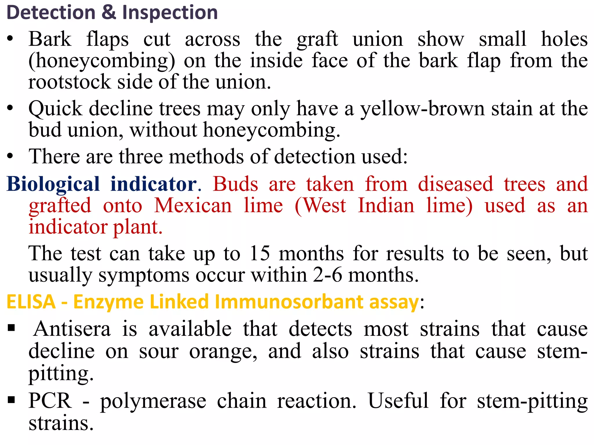 Detection & Inspection
• Bark flaps cut across the graft union show small holes
(honeycombing) on the inside face of the bark flap from the
rootstock side of the union.
• Quick decline trees may only have a yellow-brown stain at the
bud union, without honeycombing.
• There are three methods of detection used:
Biological indicator. Buds are taken from diseased trees and
grafted onto Mexican lime (West Indian lime) used as an
indicator plant.
The test can take up to 15 months for results to be seen, but
usually symptoms occur within 2-6 months.
ELISA - Enzyme Linked Immunosorbant assay:
 Antisera is available that detects most strains that cause
decline on sour orange, and also strains that cause stem-
pitting.
 PCR - polymerase chain reaction. Useful for stem-pitting
strains.
 