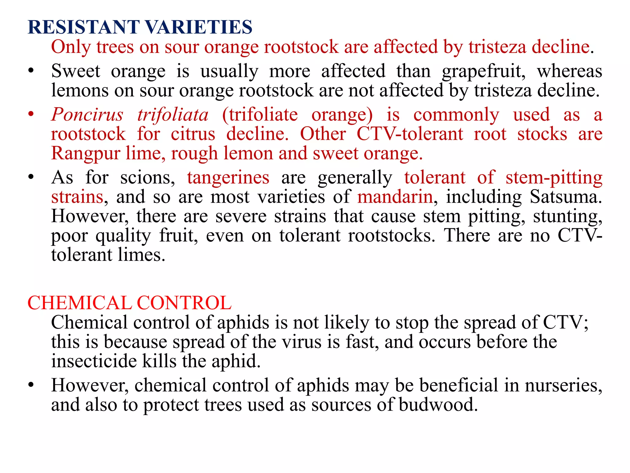 RESISTANT VARIETIES
Only trees on sour orange rootstock are affected by tristeza decline.
• Sweet orange is usually more affected than grapefruit, whereas
lemons on sour orange rootstock are not affected by tristeza decline.
• Poncirus trifoliata (trifoliate orange) is commonly used as a
rootstock for citrus decline. Other CTV-tolerant root stocks are
Rangpur lime, rough lemon and sweet orange.
• As for scions, tangerines are generally tolerant of stem-pitting
strains, and so are most varieties of mandarin, including Satsuma.
However, there are severe strains that cause stem pitting, stunting,
poor quality fruit, even on tolerant rootstocks. There are no CTV-
tolerant limes.
CHEMICAL CONTROL
Chemical control of aphids is not likely to stop the spread of CTV;
this is because spread of the virus is fast, and occurs before the
insecticide kills the aphid.
• However, chemical control of aphids may be beneficial in nurseries,
and also to protect trees used as sources of budwood.
 