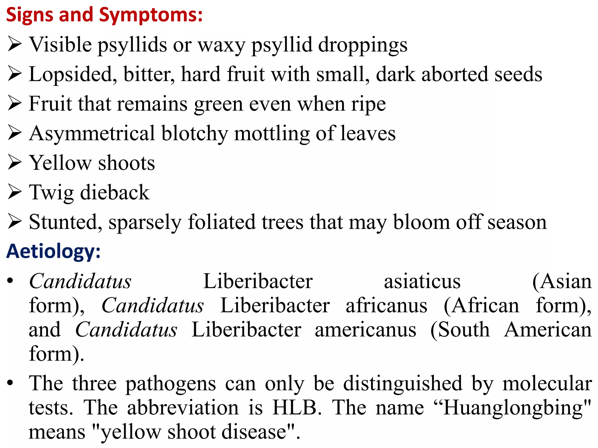 Signs and Symptoms:
 Visible psyllids or waxy psyllid droppings
 Lopsided, bitter, hard fruit with small, dark aborted seeds
 Fruit that remains green even when ripe
 Asymmetrical blotchy mottling of leaves
 Yellow shoots
 Twig dieback
 Stunted, sparsely foliated trees that may bloom off season
Aetiology:
• Candidatus Liberibacter asiaticus (Asian
form), Candidatus Liberibacter africanus (African form),
and Candidatus Liberibacter americanus (South American
form).
• The three pathogens can only be distinguished by molecular
tests. The abbreviation is HLB. The name “Huanglongbing"
means "yellow shoot disease".
 