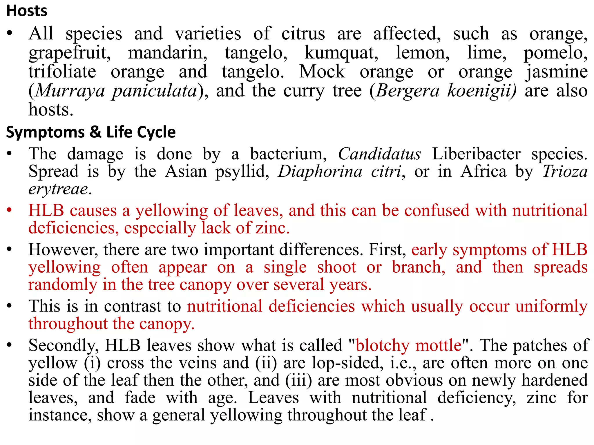 Hosts
• All species and varieties of citrus are affected, such as orange,
grapefruit, mandarin, tangelo, kumquat, lemon, lime, pomelo,
trifoliate orange and tangelo. Mock orange or orange jasmine
(Murraya paniculata), and the curry tree (Bergera koenigii) are also
hosts.
Symptoms & Life Cycle
• The damage is done by a bacterium, Candidatus Liberibacter species.
Spread is by the Asian psyllid, Diaphorina citri, or in Africa by Trioza
erytreae.
• HLB causes a yellowing of leaves, and this can be confused with nutritional
deficiencies, especially lack of zinc.
• However, there are two important differences. First, early symptoms of HLB
yellowing often appear on a single shoot or branch, and then spreads
randomly in the tree canopy over several years.
• This is in contrast to nutritional deficiencies which usually occur uniformly
throughout the canopy.
• Secondly, HLB leaves show what is called "blotchy mottle". The patches of
yellow (i) cross the veins and (ii) are lop-sided, i.e., are often more on one
side of the leaf then the other, and (iii) are most obvious on newly hardened
leaves, and fade with age. Leaves with nutritional deficiency, zinc for
instance, show a general yellowing throughout the leaf .
 