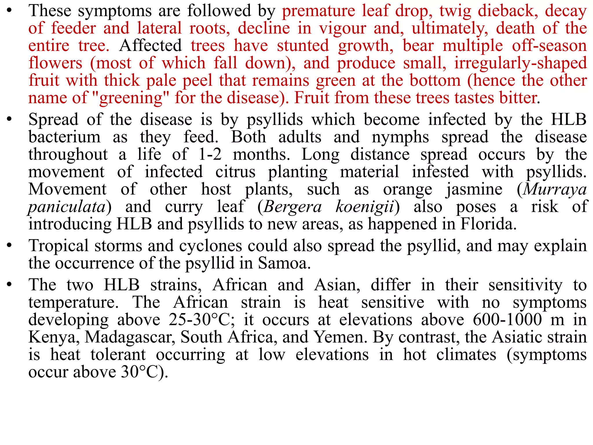 • These symptoms are followed by premature leaf drop, twig dieback, decay
of feeder and lateral roots, decline in vigour and, ultimately, death of the
entire tree. Affected trees have stunted growth, bear multiple off-season
flowers (most of which fall down), and produce small, irregularly-shaped
fruit with thick pale peel that remains green at the bottom (hence the other
name of "greening" for the disease). Fruit from these trees tastes bitter.
• Spread of the disease is by psyllids which become infected by the HLB
bacterium as they feed. Both adults and nymphs spread the disease
throughout a life of 1-2 months. Long distance spread occurs by the
movement of infected citrus planting material infested with psyllids.
Movement of other host plants, such as orange jasmine (Murraya
paniculata) and curry leaf (Bergera koenigii) also poses a risk of
introducing HLB and psyllids to new areas, as happened in Florida.
• Tropical storms and cyclones could also spread the psyllid, and may explain
the occurrence of the psyllid in Samoa.
• The two HLB strains, African and Asian, differ in their sensitivity to
temperature. The African strain is heat sensitive with no symptoms
developing above 25-30°C; it occurs at elevations above 600-1000 m in
Kenya, Madagascar, South Africa, and Yemen. By contrast, the Asiatic strain
is heat tolerant occurring at low elevations in hot climates (symptoms
occur above 30°C).
 