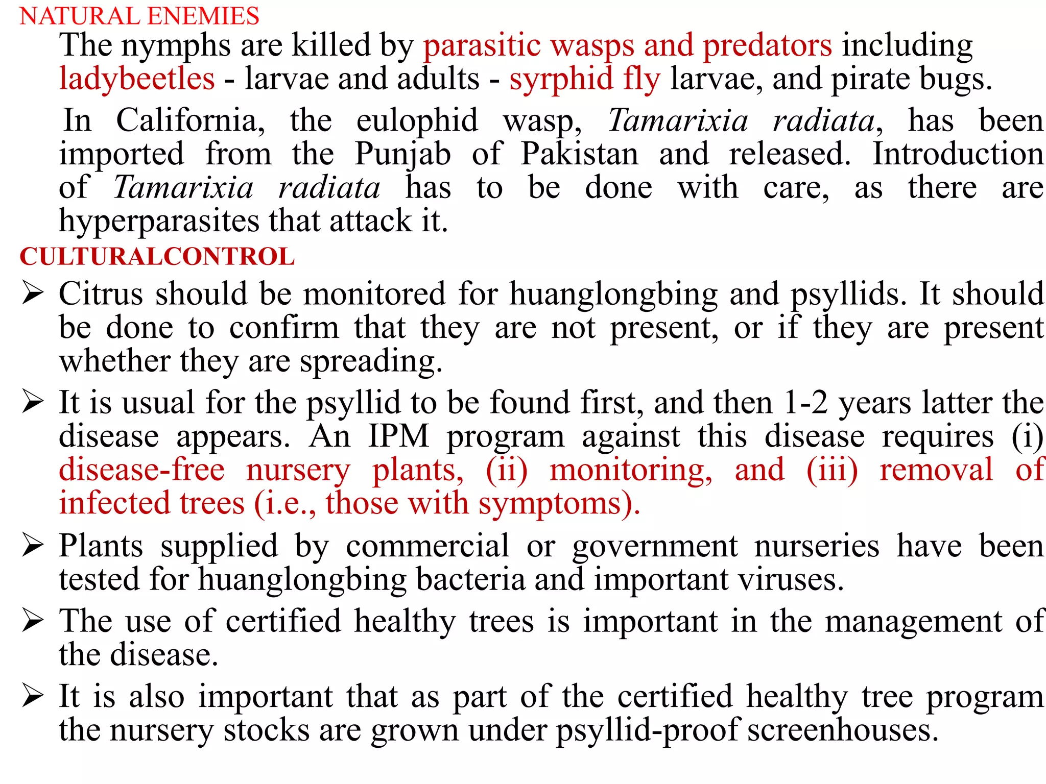NATURAL ENEMIES
The nymphs are killed by parasitic wasps and predators including
ladybeetles - larvae and adults - syrphid fly larvae, and pirate bugs.
In California, the eulophid wasp, Tamarixia radiata, has been
imported from the Punjab of Pakistan and released. Introduction
of Tamarixia radiata has to be done with care, as there are
hyperparasites that attack it.
CULTURALCONTROL
 Citrus should be monitored for huanglongbing and psyllids. It should
be done to confirm that they are not present, or if they are present
whether they are spreading.
 It is usual for the psyllid to be found first, and then 1-2 years latter the
disease appears. An IPM program against this disease requires (i)
disease-free nursery plants, (ii) monitoring, and (iii) removal of
infected trees (i.e., those with symptoms).
 Plants supplied by commercial or government nurseries have been
tested for huanglongbing bacteria and important viruses.
 The use of certified healthy trees is important in the management of
the disease.
 It is also important that as part of the certified healthy tree program
the nursery stocks are grown under psyllid-proof screenhouses.
 