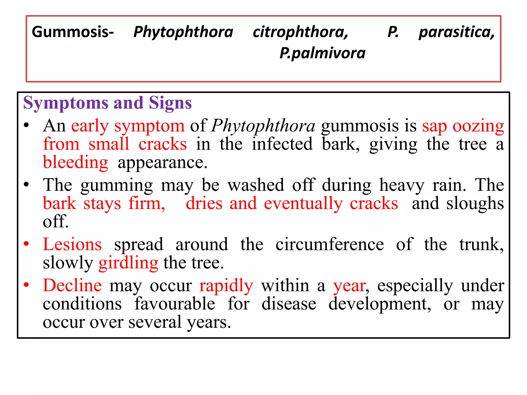 Gummosis- Phytophthora citrophthora, P. parasitica,
P.palmivora
Symptoms and Signs
• An early symptom of Phytophthora gummosis is sap oozing
from small cracks in the infected bark, giving the tree a
bleeding appearance.
• The gumming may be washed off during heavy rain. The
bark stays firm, dries and eventually cracks and sloughs
off.
• Lesions spread around the circumference of the trunk,
slowly girdling the tree.
• Decline may occur rapidly within a year, especially under
conditions favourable for disease development, or may
occur over several years.
 