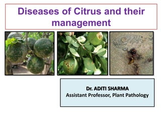 Diseases of Citrus and their
management
Dr. ADITI SHARMA
Assistant Professor, Plant Pathology
 