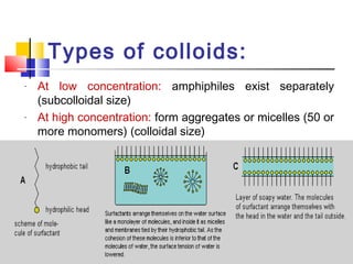 Types of colloids:
- At low concentration: amphiphiles exist separately
(subcolloidal size)
- At high concentration: form aggregates or micelles (50 or
more monomers) (colloidal size)
 