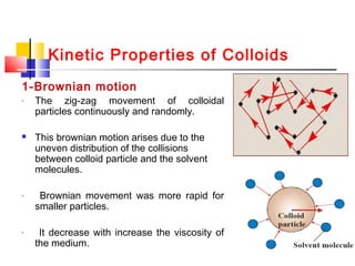 Kinetic Properties of Colloids
1-Brownian motion
- The zig-zag movement of colloidal
particles continuously and randomly.
 This brownian motion arises due to the
uneven distribution of the collisions
between colloid particle and the solvent
molecules.
- Brownian movement was more rapid for
smaller particles.
- It decrease with increase the viscosity of
the medium.
 