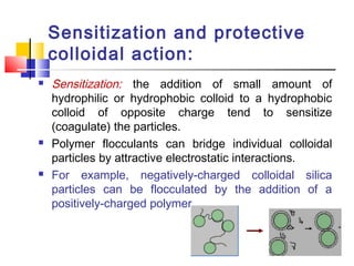 Sensitization and protective
colloidal action:
 Sensitization: the addition of small amount of
hydrophilic or hydrophobic colloid to a hydrophobic
colloid of opposite charge tend to sensitize
(coagulate) the particles.
 Polymer flocculants can bridge individual colloidal
particles by attractive electrostatic interactions.
 For example, negatively-charged colloidal silica
particles can be flocculated by the addition of a
positively-charged polymer.
 