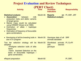 Statistical analysis:
• Association between milk
production traits and allelic variants
of target genes
• Marker maps would be calculated
using CRIMAP (Green et al 1990)
• Estimation of allele / haplotype
frequencies
• Estimation of frequency of favourable
gene combinations
Month 46 Reports on
Statistical analysis
PI, SRF, JRF
• Genotyping of all the breeding bulls in
use in A I program
Month 50 Genotype data of all
animals tabulated
SRF
Two tier selection strategy will be
adopted:
oPedigree selection bulls of elite
dams
oGene Assisted Selection on the
basis of favourable haplotype /
gene combination.
Month 55 Shortlisted animals
with desired
genotype
PI, Co-PI
•Report preparation Month 60 PI, SRF,
Project Evaluation and Review Techniques
(PERT Chart)
Activity Time Verifiable
Indicators
Responsibility
 