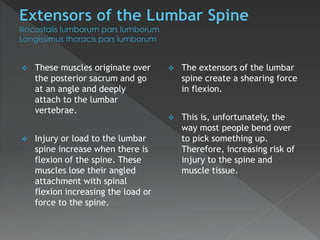 Lecture III Muscle Imbalances | PPTX