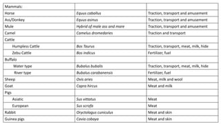 Capra Indicus animal science presentation agricultural | PDF