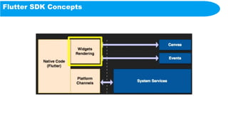 Flutter SDK Concepts
 