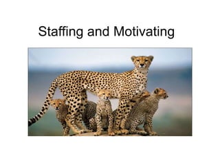 Staffing and Motivating
 