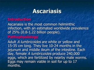 Ascariasis Introduction Ascariasis is the most common helminthic infection, with an estimated worldwide prevalence of 25% (0.8-1.22 billion people). Pathophysiology Adult A lumbricoides are white or yellow and 15-35 cm long. They live 10-24 months in the jejunum and middle ileum of the intestine. Each day, female A lumbricoides produce 240,000 eggs, which are fertilized by nearby male worms. Eggs may remain viable in soil for up to 17 months.