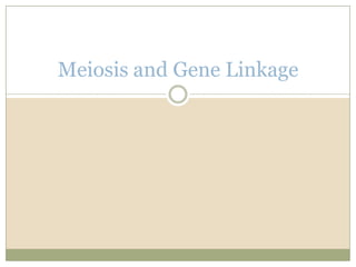 Meiosis and Gene Linkage 