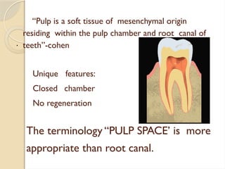Soft Pulp LECTURE- PULP ANATOMY ,mnbutvyrf vhjjk .pptx