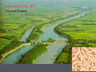 Grand Canal 
 
