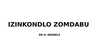 IZINKONDLO ZOMDABU
DR H. NDEBELE
 