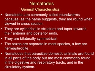 Nematodes
General Characteristics
• Nematodes are commonly called roundworms
because, as the name suggests, they are round when
viewed in cross section.
• They are cylindrical in structure and taper towards
their anterior and posterior ends.
• They are bilaterally symmetrical.
• The sexes are separate in most species, a few are
hermaphrodite.
• Nematodes that parasitize domestic animals are found
in all parts of the body but are most commonly found
in the digestive and respiratory tracts, and in the
circulatory system.
 