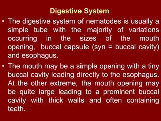 Digestive System
• The digestive system of nematodes is usually a
simple tube with the majority of variations
occurring in the sizes of the mouth
opening, buccal capsule (syn = buccal cavity)
and esophagus.
• The mouth may be a simple opening with a tiny
buccal cavity leading directly to the esophagus.
At the other extreme, the mouth opening may
be quite large leading to a prominent buccal
cavity with thick walls and often containing
teeth.
 