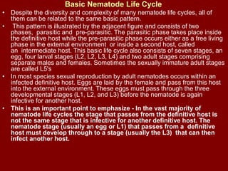 Basic Nematode Life Cycle
• Despite the diversity and complexity of many nematode life cycles, all of
them can be related to the same basic pattern.
• This pattern is illustrated by the adjacent figure and consists of two
phases, parasitic and pre-parasitic. The parasitic phase takes place inside
the definitive host while the pre-parasitic phase occurs either as a free living
phase in the external environment or inside a second host, called
an intermediate host. This basic life cycle also consists of seven stages, an
egg, four larval stages (L2, L2, L3, L4) and two adult stages comprising
separate males and females. Sometimes the sexually immature adult stages
are called L5's
• In most species sexual reproduction by adult nematodes occurs within an
infected definitive host. Eggs are laid by the female and pass from this host
into the external environment. These eggs must pass through the three
developmental stages (L1, L2, and L3) before the nematode is again
infective for another host.
• This is an important point to emphasize - In the vast majority of
nematode life cycles the stage that passes from the definitive host is
not the same stage that is infective for another definitive host. The
nematode stage (usually an egg or L1) that passes from a definitive
host must develop through to a stage (usually the L3) that can then
infect another host.
 