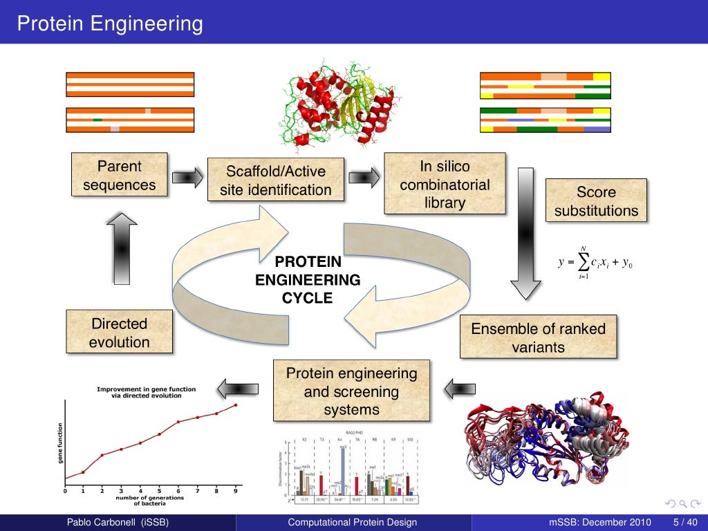 Computational Protein Design. 1. Challenges in Protein Engineering