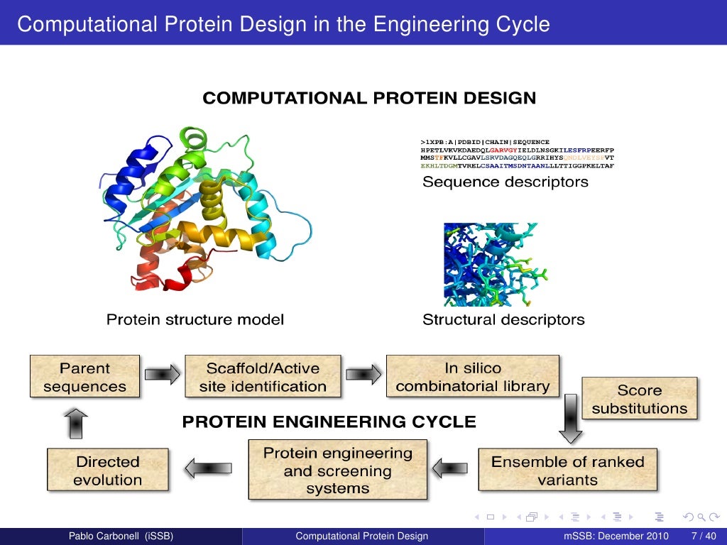 Computational Protein Design. 1. Challenges in Protein Engineering