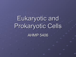 Eukaryotic and
Prokaryotic Cells
    AHMP 5406
 