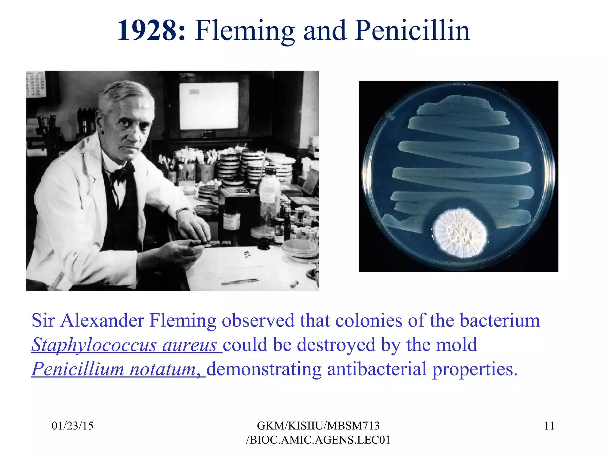 1928: Fleming and Penicillin
Sir Alexander Fleming observed that colonies of the bacterium
Staphylococcus aureus could be destroyed by the mold
Penicillium notatum, demonstrating antibacterial properties.
01/23/15 11GKM/KISIIU/MBSM713
/BIOC.AMIC.AGENS.LEC01
 