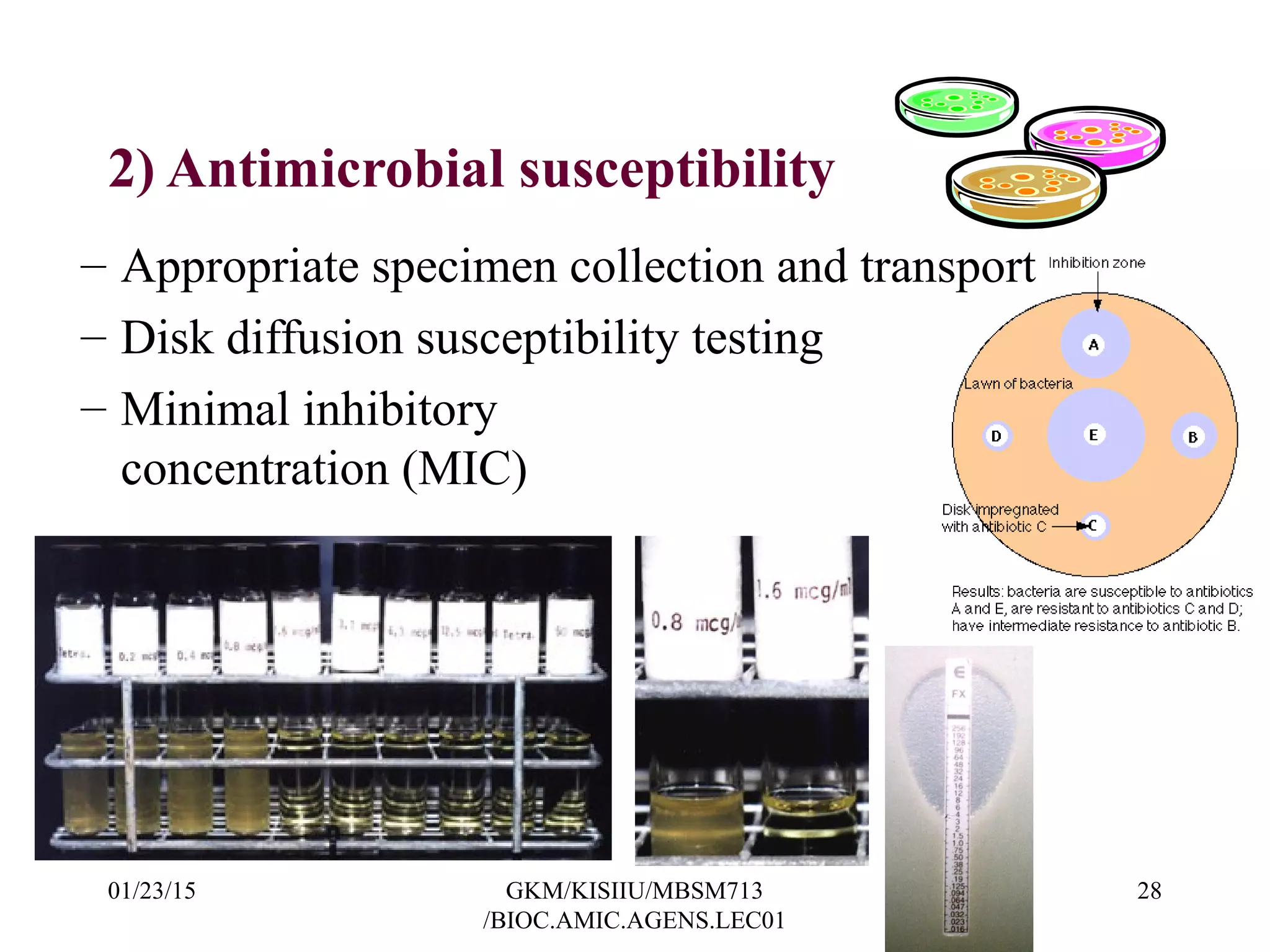 2) Antimicrobial susceptibility
– Appropriate specimen collection and transport
– Disk diffusion susceptibility testing
– Minimal inhibitory
concentration (MIC)
01/23/15 28GKM/KISIIU/MBSM713
/BIOC.AMIC.AGENS.LEC01
 