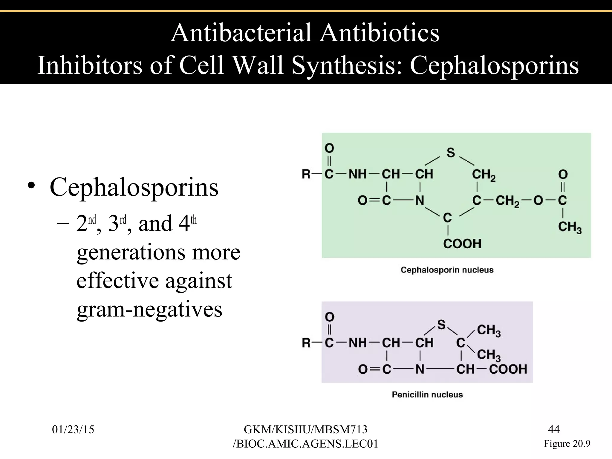 • Cephalosporins
– 2nd
, 3rd
, and 4th
generations more
effective against
gram-negatives
Antibacterial Antibiotics
Inhibitors of Cell Wall Synthesis: Cephalosporins
Figure 20.9
01/23/15 44GKM/KISIIU/MBSM713
/BIOC.AMIC.AGENS.LEC01
 
