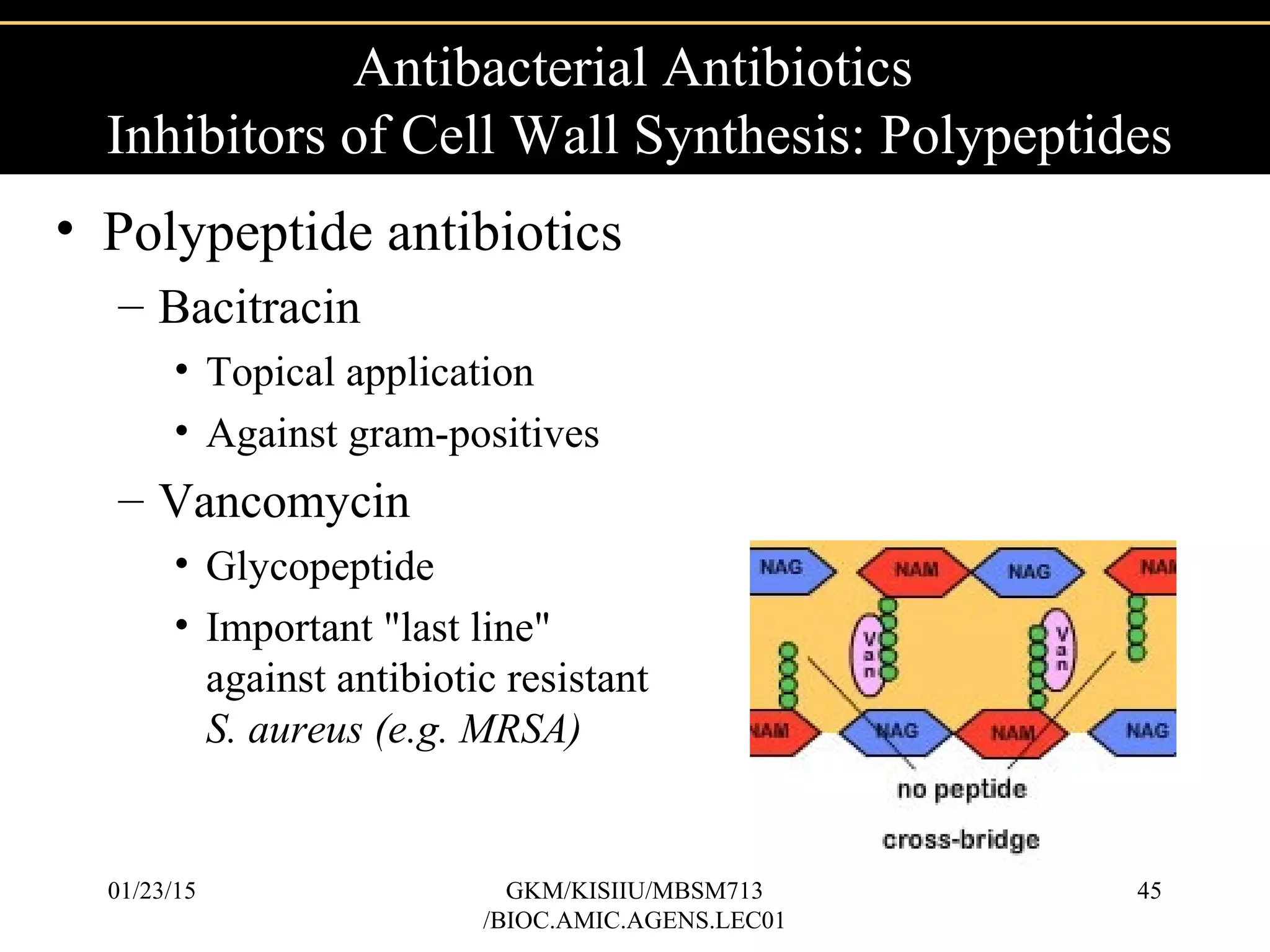 • Polypeptide antibiotics
– Bacitracin
• Topical application
• Against gram-positives
– Vancomycin
• Glycopeptide
• Important "last line"
against antibiotic resistant
S. aureus (e.g. MRSA)
Antibacterial Antibiotics
Inhibitors of Cell Wall Synthesis: Polypeptides
01/23/15 45GKM/KISIIU/MBSM713
/BIOC.AMIC.AGENS.LEC01
 