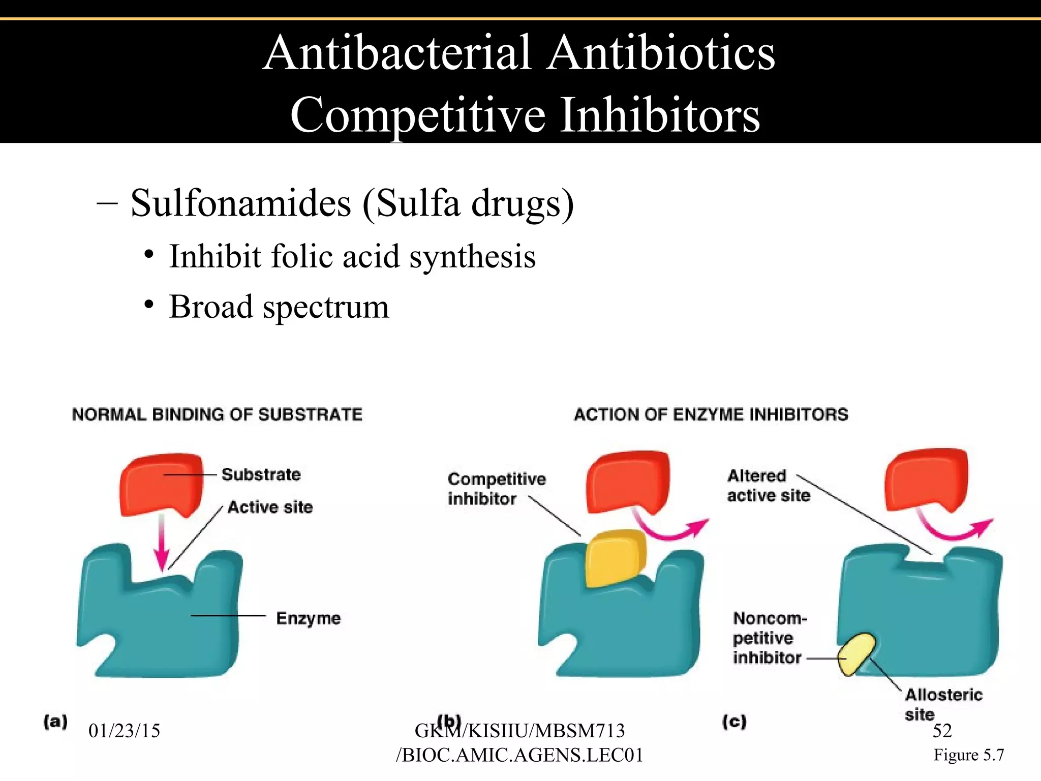 – Sulfonamides (Sulfa drugs)
• Inhibit folic acid synthesis
• Broad spectrum
Antibacterial Antibiotics
Competitive Inhibitors
Figure 5.7
01/23/15 52GKM/KISIIU/MBSM713
/BIOC.AMIC.AGENS.LEC01
 
