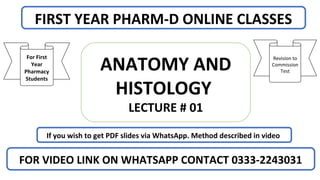 FIRST YEAR PHARM-D ONLINE CLASSES
If you wish to get PDF slides via WhatsApp. Method described in video
FOR VIDEO LINK ON WHATSAPP CONTACT 0333-2243031
For First
Year
Pharmacy
Students
Revision to
Commission
TestANATOMY AND
HISTOLOGY
LECTURE # 01
 