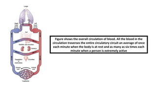 Physiology Online Classes - First Semester Pharm-D - Lecture # 01 | PPT