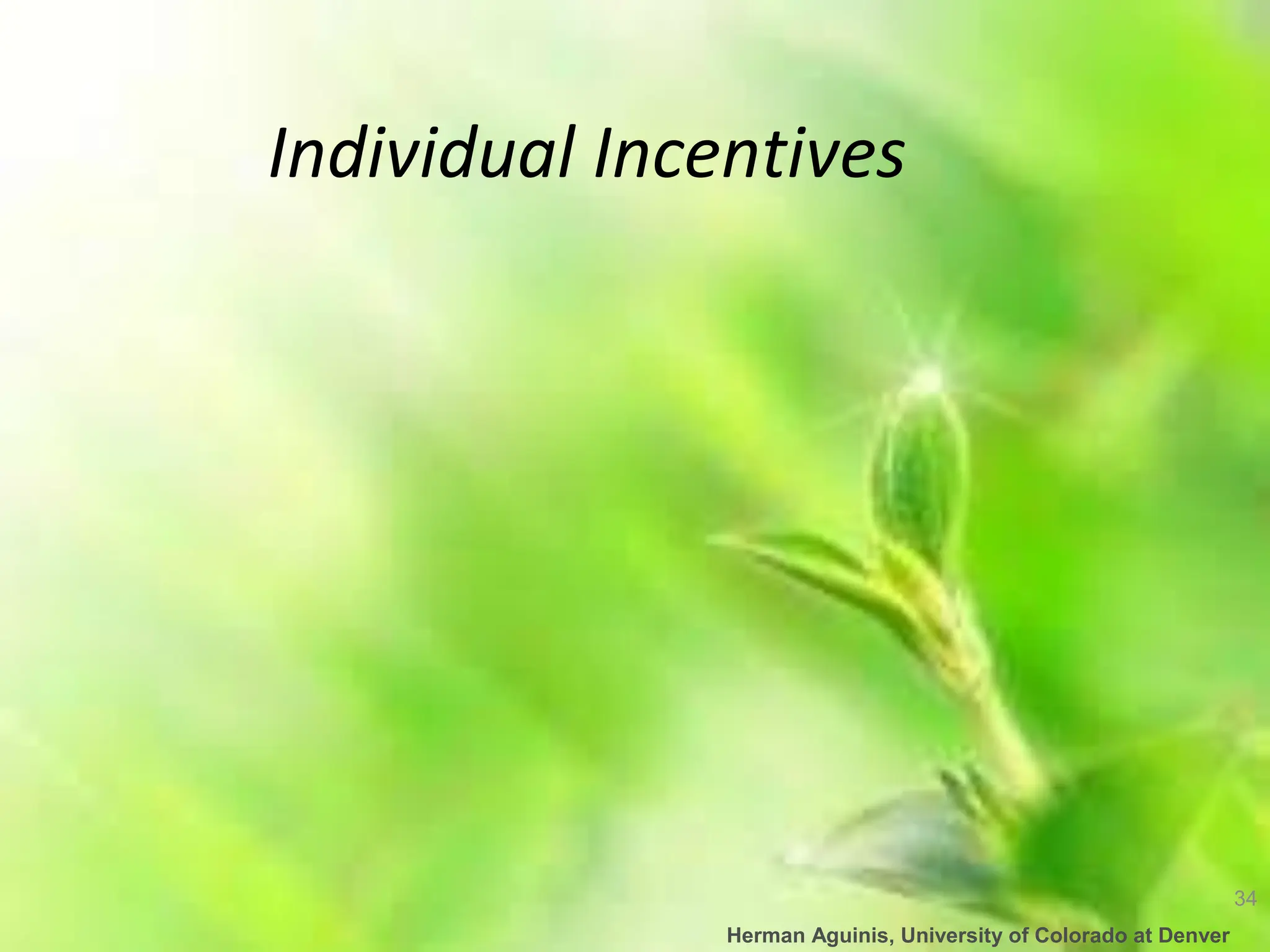 34
Herman Aguinis, University of Colorado at Denver
Individual Incentives
 